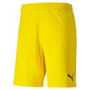 Puma teamGOAL 23 knit Shorts SR