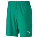 Puma teamGOAL 23 knit Shorts SR