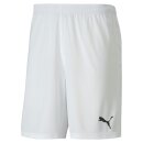 Puma teamGOAL 23 knit Shorts SR