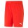 Puma teamGOAL 23 knit Shorts SR