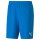 Puma teamGOAL 23 knit Shorts SR