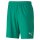 Puma teamGOAL 23 knit Shorts SR