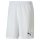 Puma teamGOAL 23 knit Shorts SR